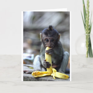 Cartão Macaco de macaque bonito do bebê que come a banan