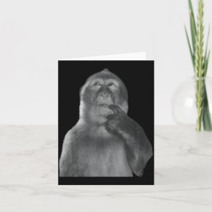 Cartão Macaco Engraçado Pensando Meme Curioso Macaco Rota