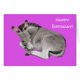 Cartão Macaco giro em roxo