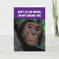Macaco Judgmental Engraçado - Avaliando Seu Aniver