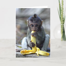 Cartão Macaco-macaco-bebê bonito a gostar de banana