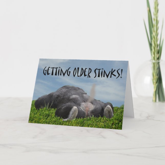 Cartão Macaco mais velho de obtenção cómico engraçado (Frente)