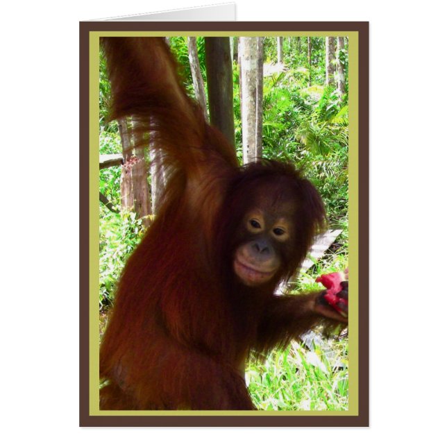 Cartão Macaco para a melancia (Frente)