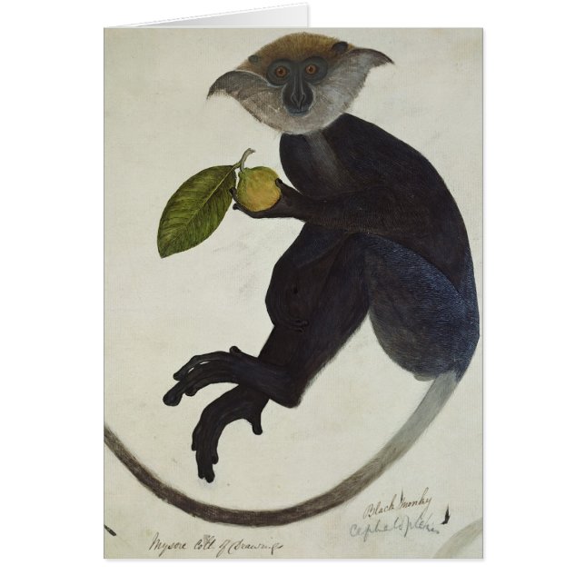 Cartão Macaco preto (Frente)