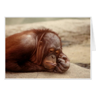 Cartão Macaco Sonolento