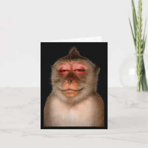Cartão Macaco sonolento engraçado meme de macaco cansado 