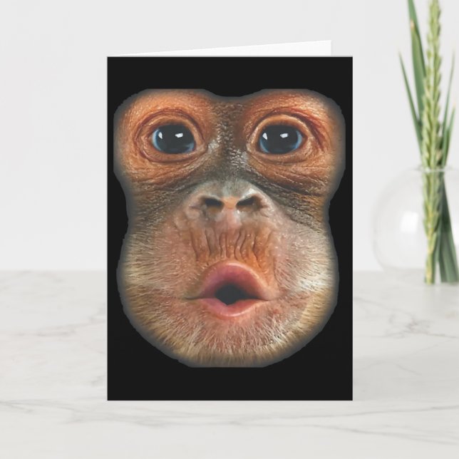 Cartão Macaco soprando a cara da barriga  (Frente)