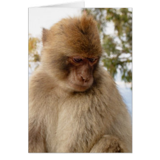 Cartão Macaco triste