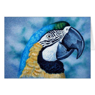 Cartão Macaw
