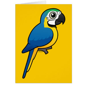 Cartão Macaw Azul-e-amarelo