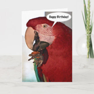 Cartão Macaw Parrot Happy Birthday Card