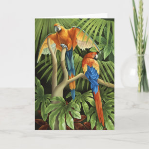 Cartão Macaws Card