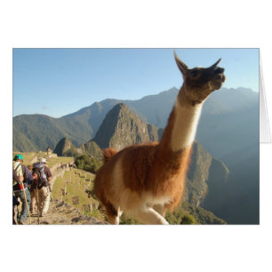 Cartão Macchu Picchu