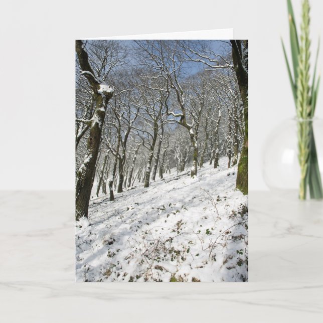 Cartão Macclesfield Forest (Frente)