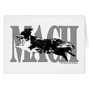 Cartão MACH Sheltie