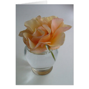 Cartão Macio aumentou