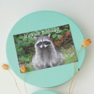 Cartão Maconha Fofo de Raccoon de Aniversário Divertido d