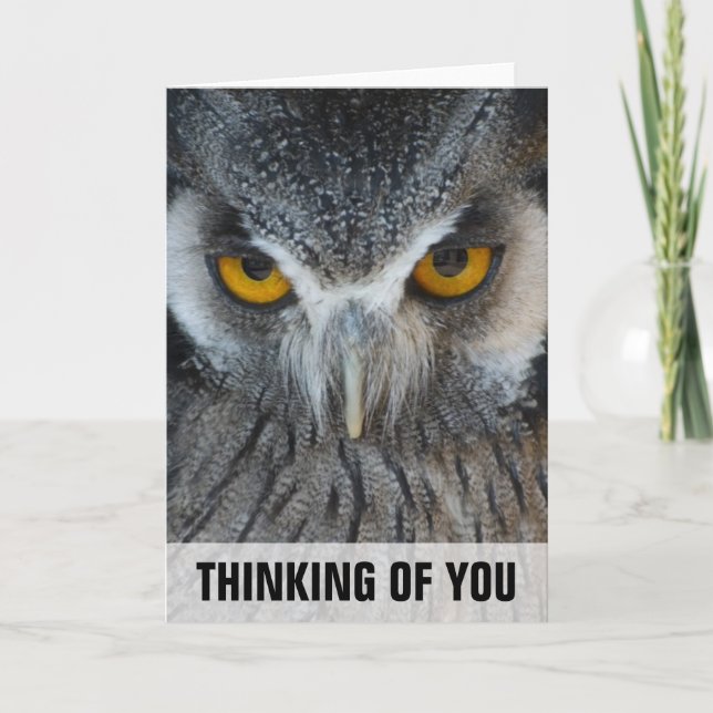 Cartão Macro Black and White Owl Thinking Of You Card (Frente)