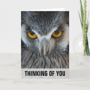 Cartão Macro Black and White Owl Thinking Of You Card