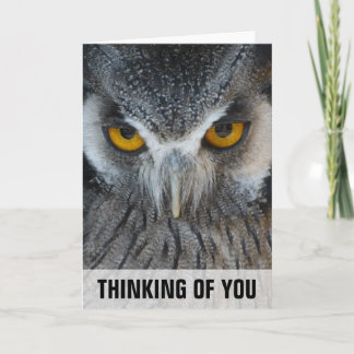 Cartão Macro Black and White Owl Thinking Of You Card
