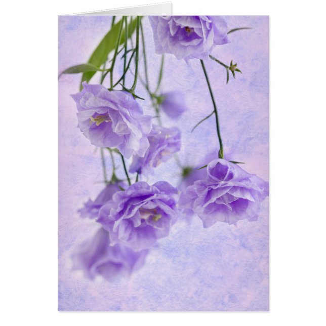 Cartão Macro Card Flores de Campanela Roxa (Frente)
