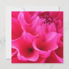 Cartão Macro Close Delilah Flower