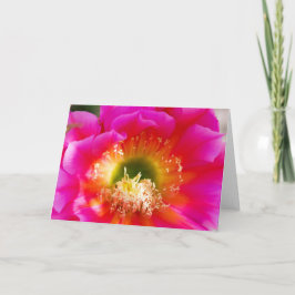 Cartão Macro de Flor Suculta