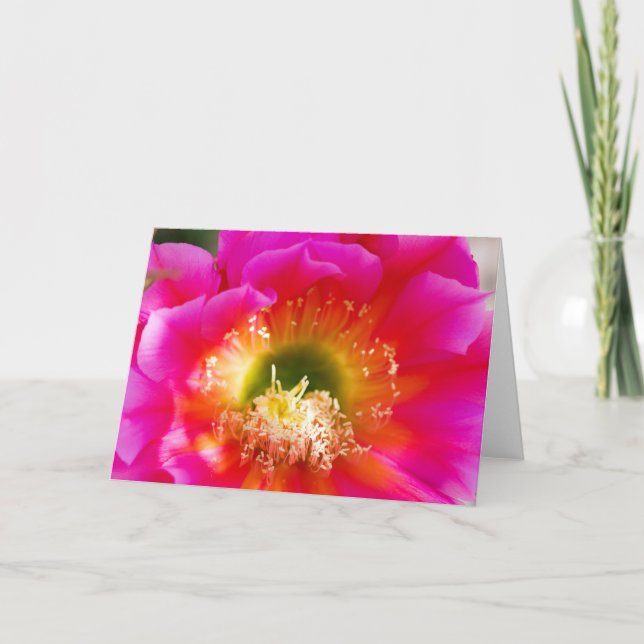 Cartão Macro de Flor Suculta (Frente)