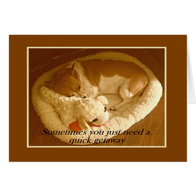 Cartão "Macy with Lamb Chop" 5 x 7 com envelope (Frente Horizontal)