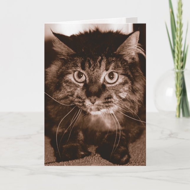 Cartão Mad Cat (Frente)