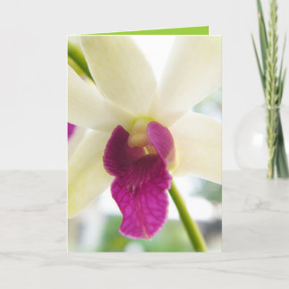 Cartão Madame Orchid