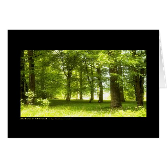 Cartão Madeira prateada (cartão) (Frente Horizontal)