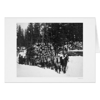 Cartão Madeira serrada que transporta Seward, Alaska 1919