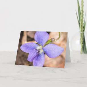 Cartão Madeira Violet Wildflower Notecard