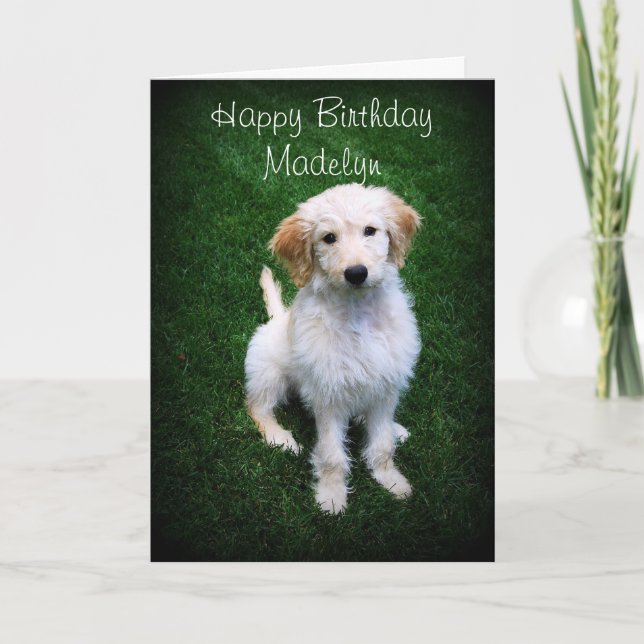 Cartão Madelyn Happy Birthday Ouro Doodle Puppy (Frente)