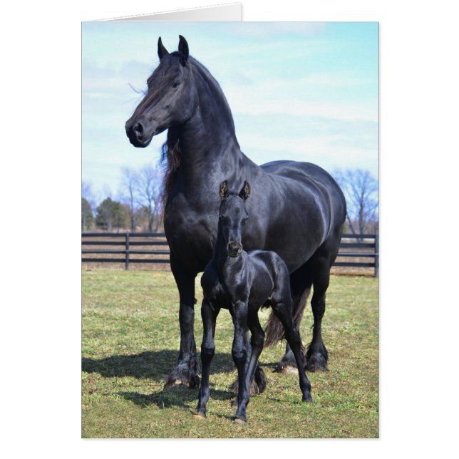 Cartão Mãe (Frente)