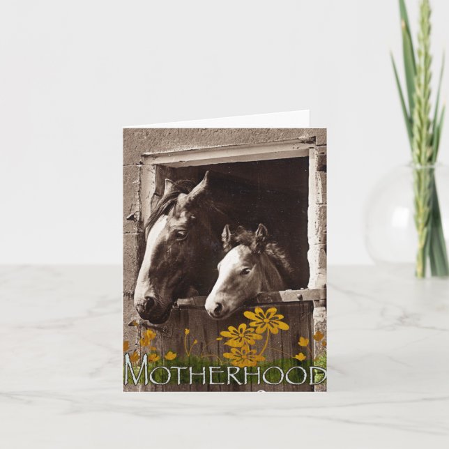 Cartão Mãe (Frente)