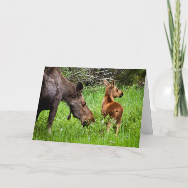 Cartão Mãe alerta e bebê de dois alces (Frente)