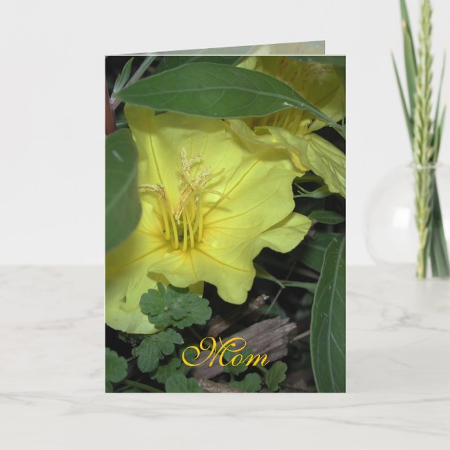 Cartão Mãe Aniversário (Frente)