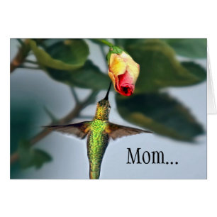 Cartão Mãe, beija-flor