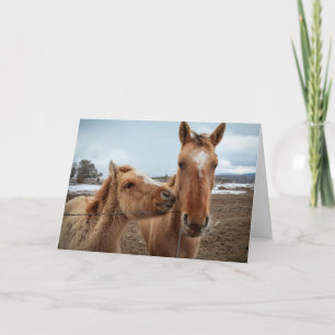 Cartão Mãe Cavalo e Potro
