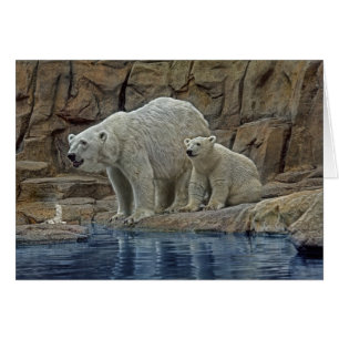 Cartão Mãe & Cub do urso polar