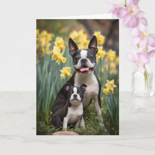 Cartão Mãe de Boston Terrier Dia das Mães Amor