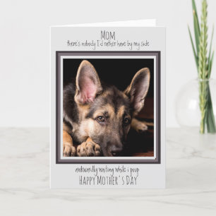 Cartão Mãe de Cachorro Divertida Feliz Dia das Mães Cocô 