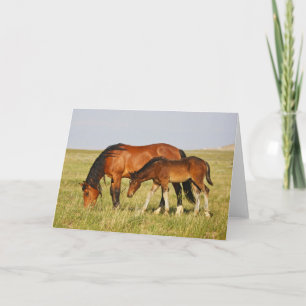 Cartão Mãe de Cavalo Selvagem e Grazing Colt