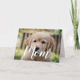 Cartão Mãe Dia de as mães de Pet Foto Cachorro Bonito M