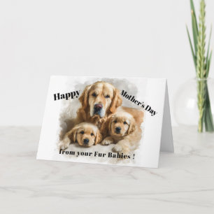 Cartão Mãe do Golden Retriever Feliz Dia das Mães Pet Fof