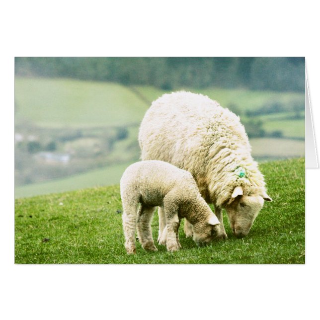 Cartão Mãe e Bebê (Frente Horizontal)