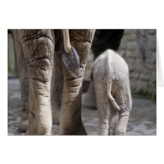 Cartão Mãe e Bebê