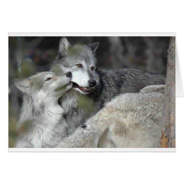 Cartão Mãe e Bebê (Frente Horizontal)